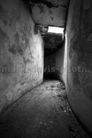 tunnel vision sm.jpg